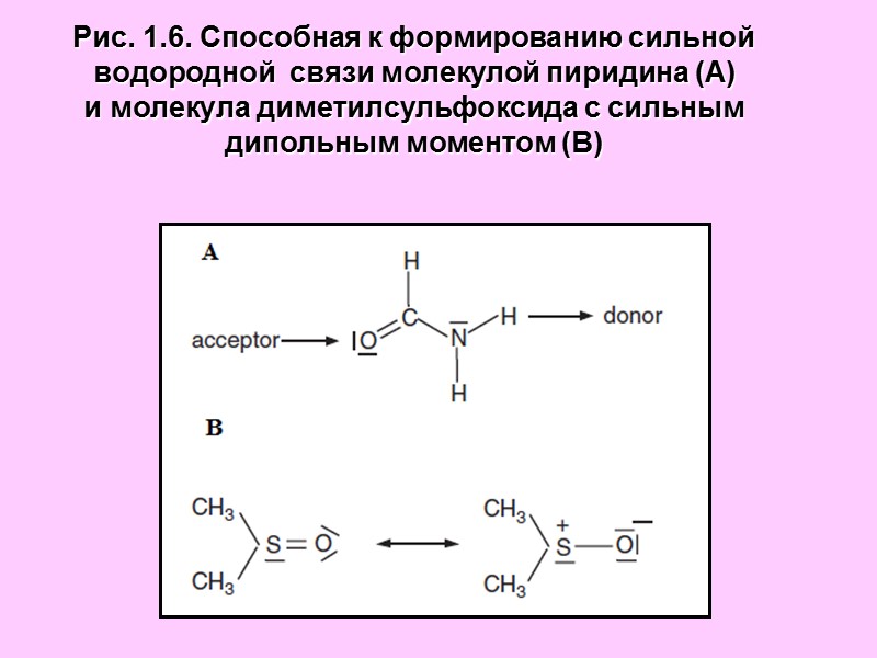Рис. 1.6. Способная к формированию сильной  водородной  связи молекулой пиридина (А) 